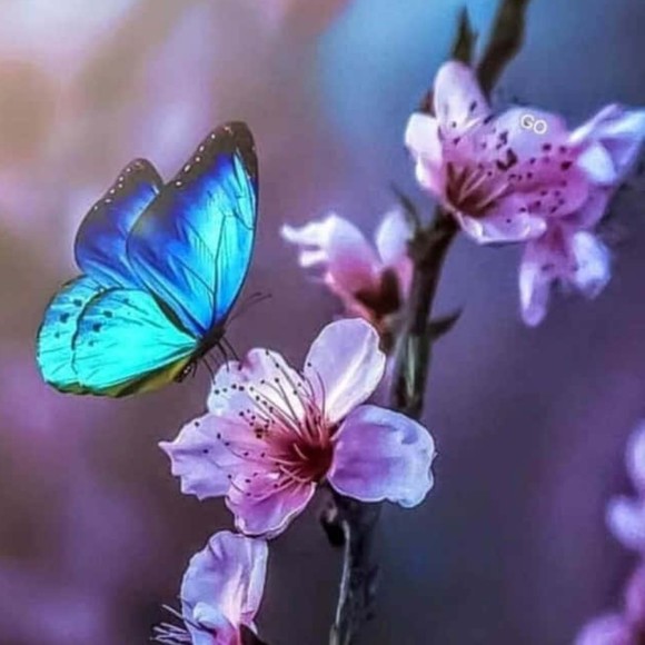 Meet your Posher, Jocelyn - Picture 1 of 1